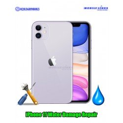 iPhone 11 Water Damage Repair